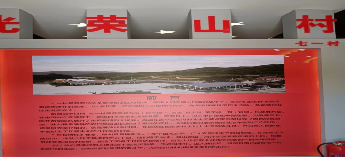Project Large Image
